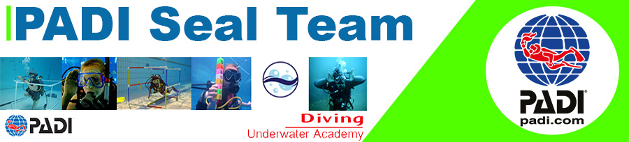 Il PADI Seal Team è pensato per i giovani sub che vogliono divertirsi in piscina completando eccitanti AquaMissions.