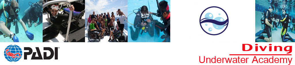 Adaptive Support Diver PADI