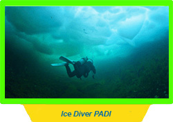 Ice Diver PADI