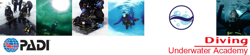 Ice Diver PADI