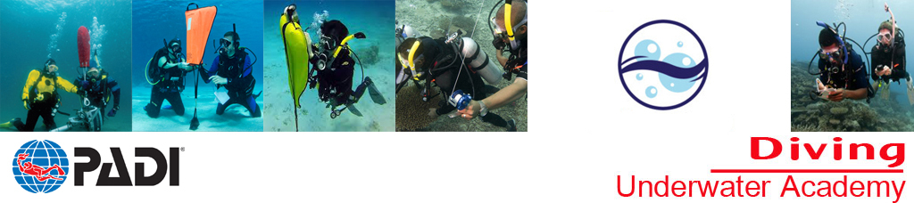 Search and Recovery Diver PADI