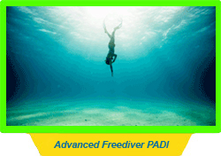 PADI Freediving Courses
