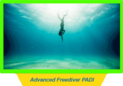 PADI Freediving Courses
