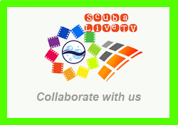 Collaborate with us