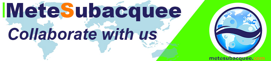 Collaborate with us