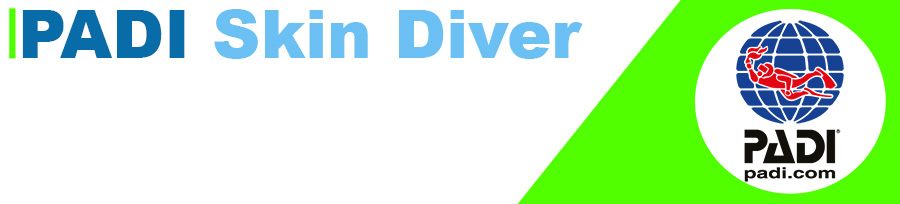 Skin Diver PADI