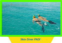 Skin Diver PADI