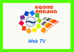 web tv