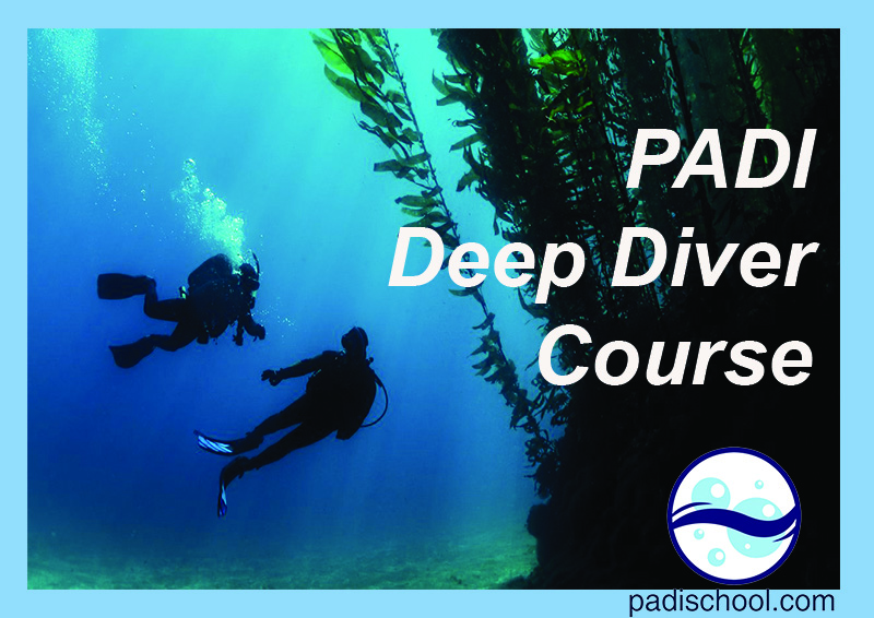 PADI Specialty Courses Underwater Academy Scuola di attività marinare
