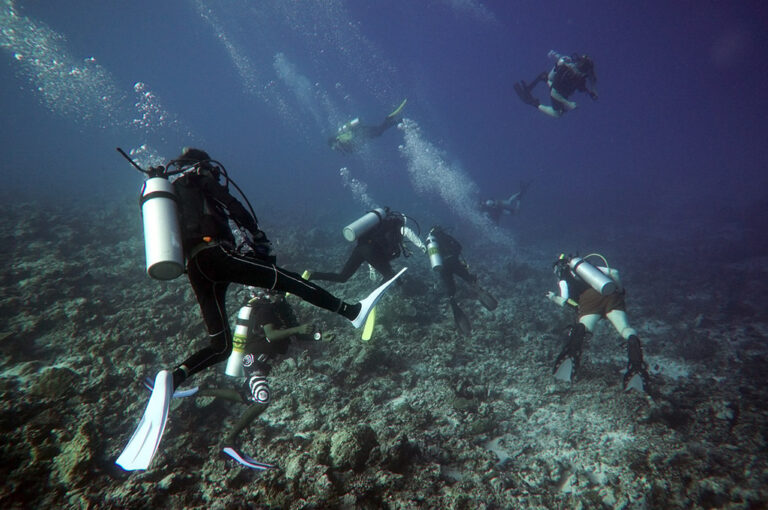 PADI Drift Diver Speciality Course main image 0